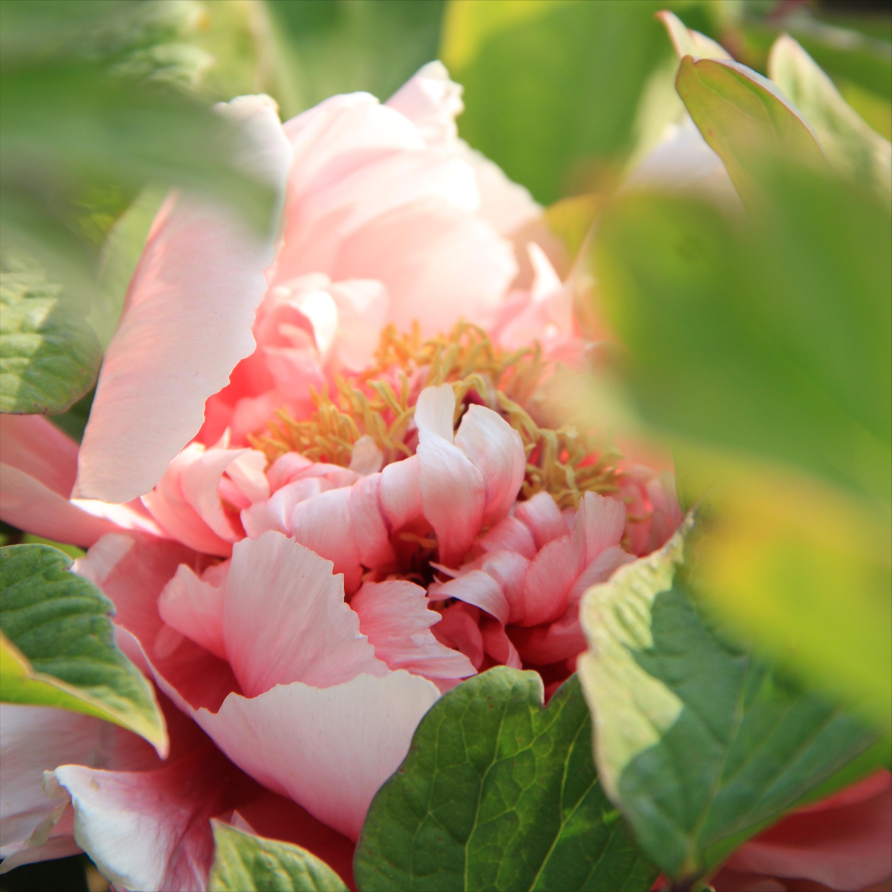 如何愉快的度过孕期,怎样规划自己的孕期生活