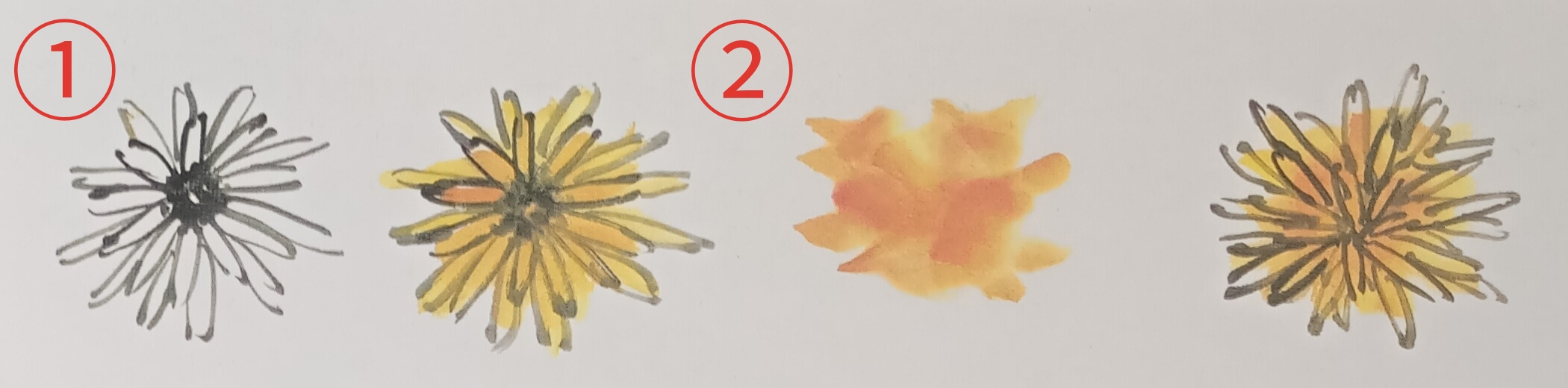 国画菊花初学者怎么画视频,圆形卡纸怎样画菊花国画