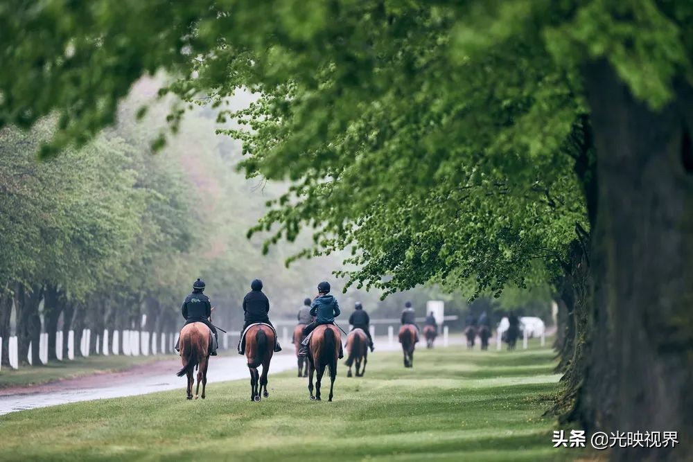 2022年度的ipa摄影大赛获奖作品,2020ippa摄影大赛奖项公布