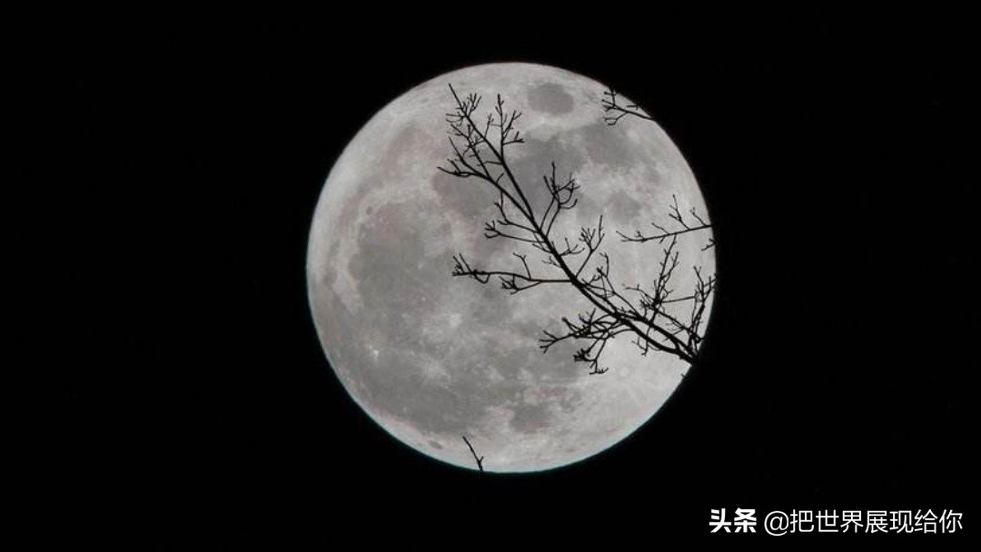 吸血蜈蚣的民间故事,蜈蚣与蝎子民间故事