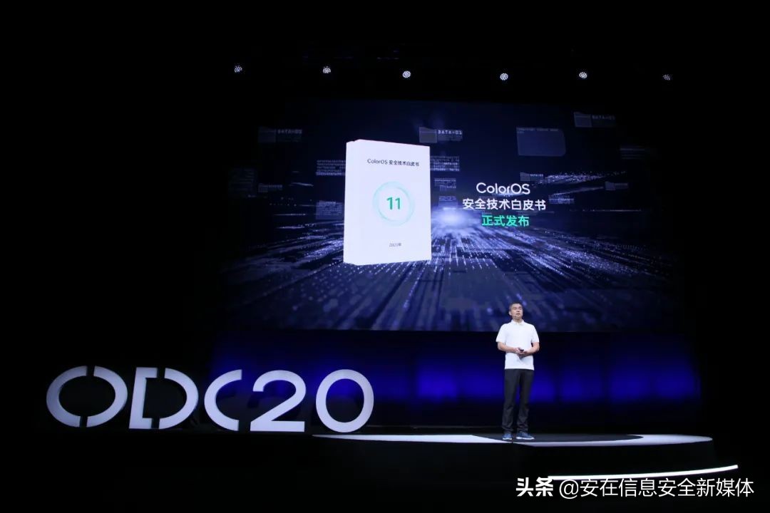 为开发者生态保驾，为用户安全护航