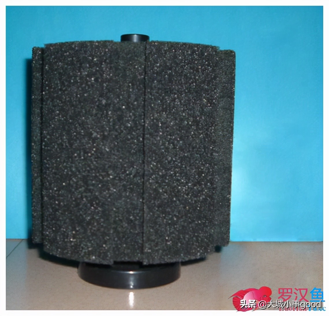 鱼缸过滤系统的基础解析,鱼缸过滤桶过滤原理