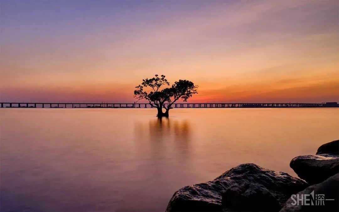 深圳1号线晚上好去处,地铁深圳一号线哪里好玩