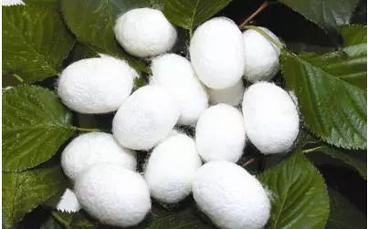 各种常用被子的优缺点对比,被子种类太多了哪个又轻又暖和