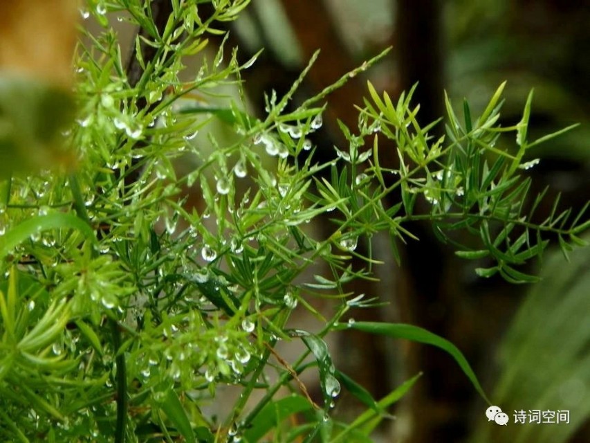 楹联创作方法与格律要求,国展楹联创作讲解