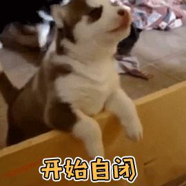 雅思9.0是什么概念,雅思9分是什么水平