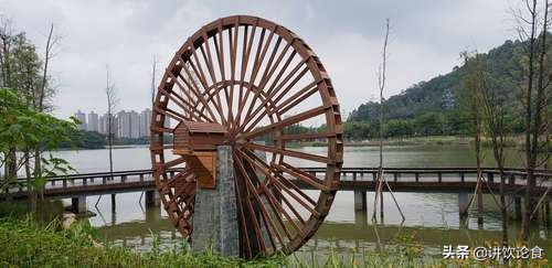 春节顺德自由行攻略,春节顺德游玩攻略