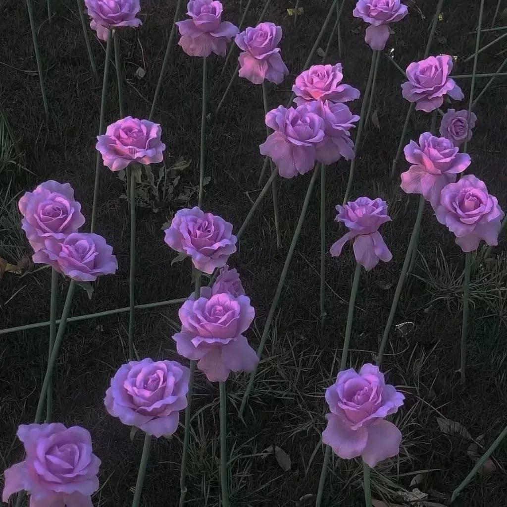 你是我一生中只会遇见一次的惊喜,一生中只会遇见一次的惊喜的电影