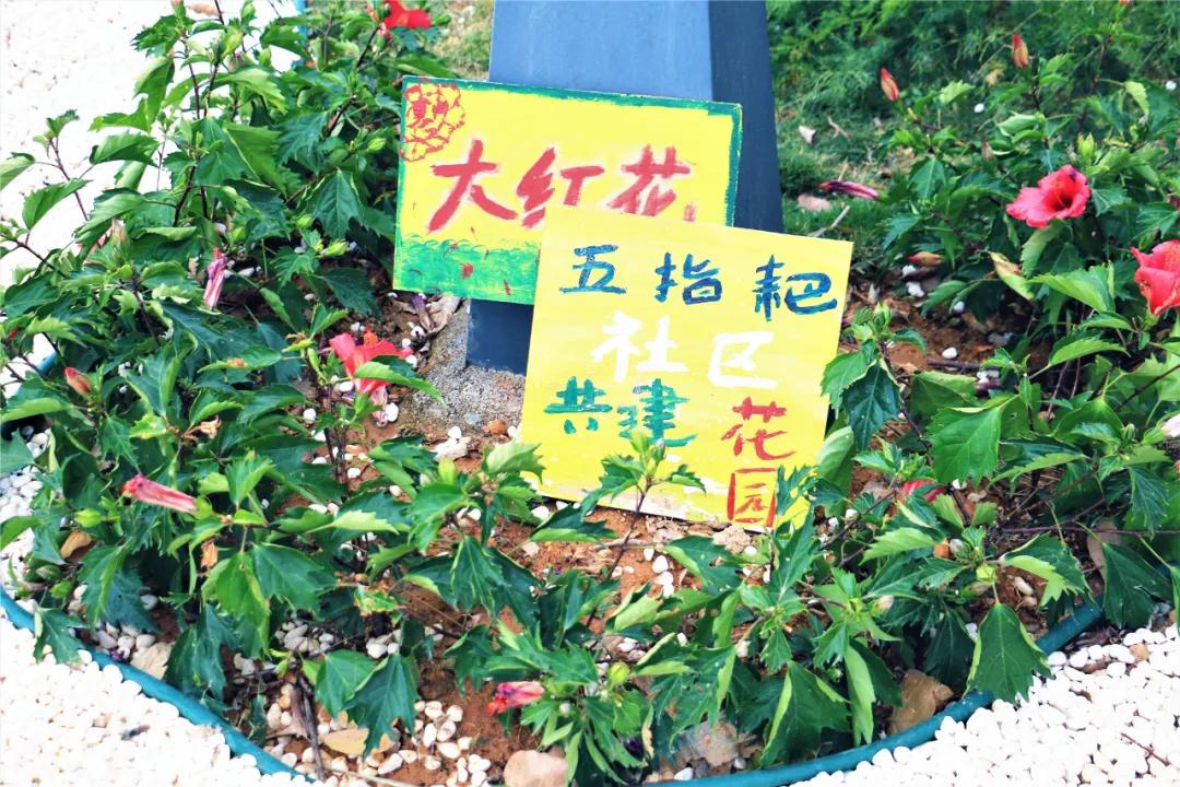 深圳哪个地方有玻璃桥,深圳玻璃桥免费开放吗