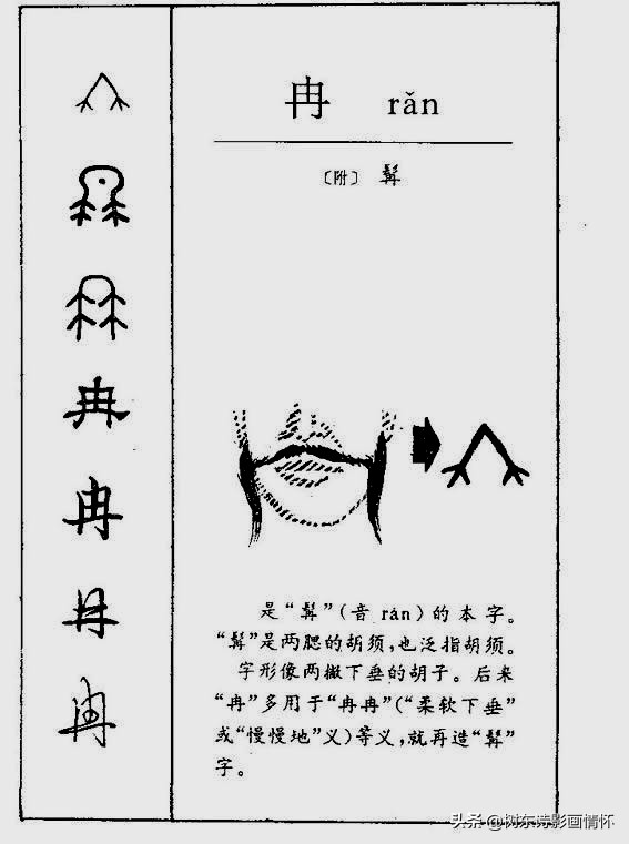 树东说文解字：“冉”字的演变，“冉”字的成语，“冉”字的诗句