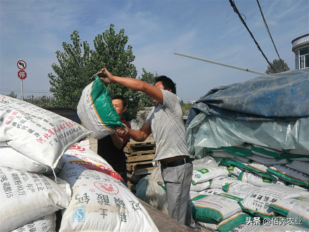 农村小规模种植什么赚钱,未来农村种植赚钱的六个方向