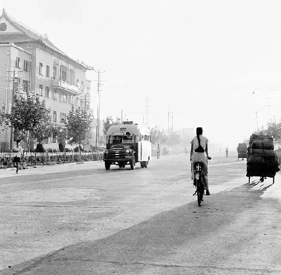 这个“弄潮儿”为何如此充满活力？