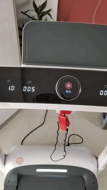 在家也能好好健身,宅在家也能健身