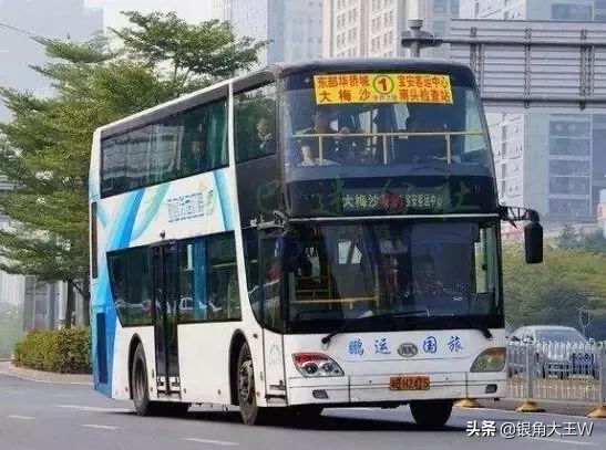 老深圳的美好时光,老深圳的回忆