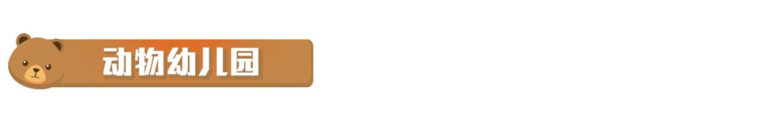 长隆飞鸟乐园长隆熊猫酒店怎么选,周一长隆野生动物园游玩攻略