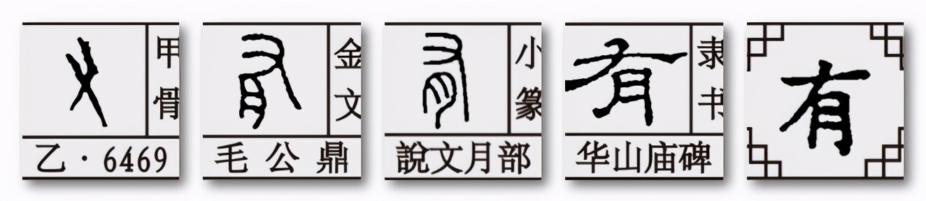 肉字家族：肉有肴淆崤，骨肉相连，古人造字就把这种亲情埋进文字
