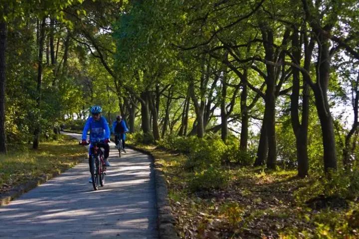 昆明市区旅游推荐避暑,昆明小众避暑景区推荐一下