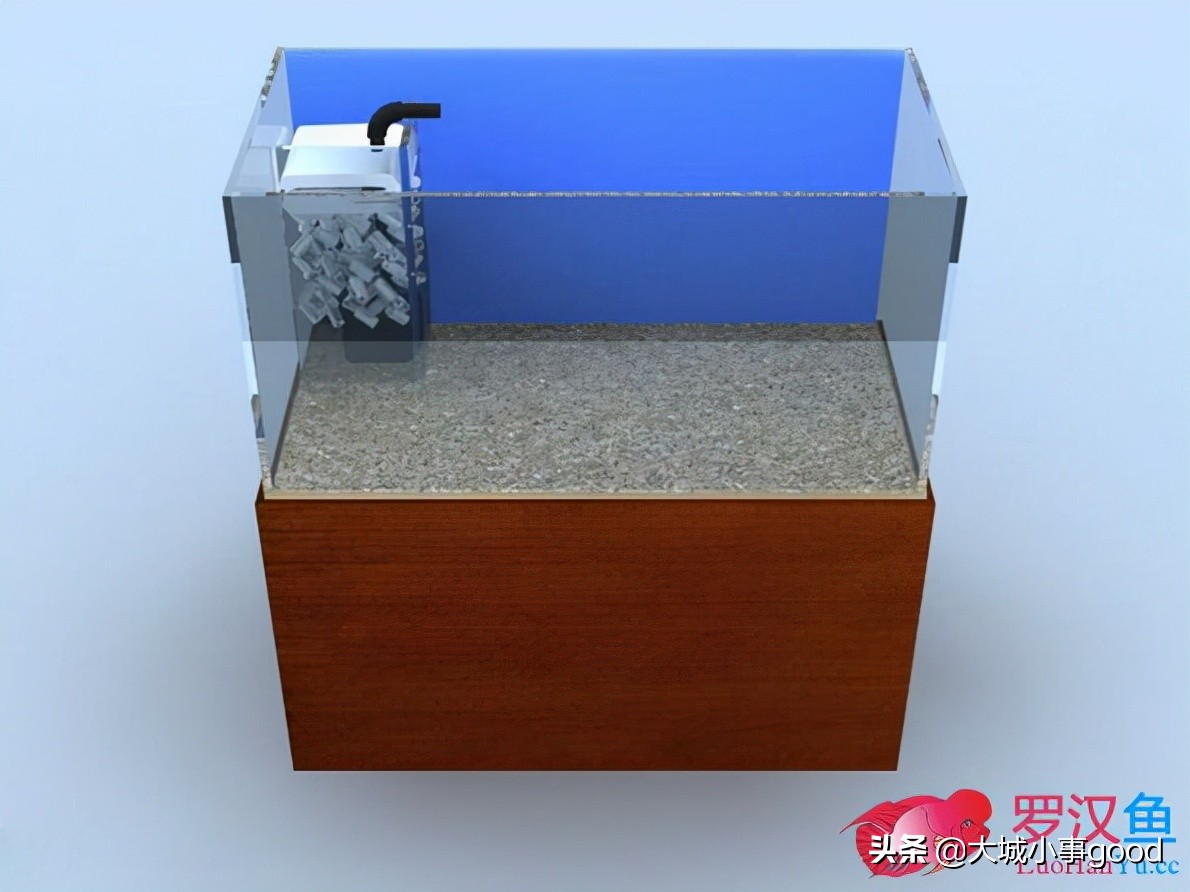 鱼缸过滤系统的基础解析,鱼缸过滤桶过滤原理