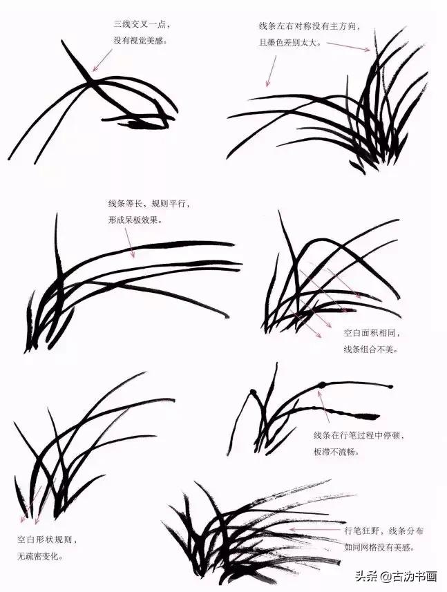 徐湛国画兰花技法教学,国画兰花入门技法