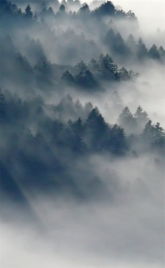 缓解眼睛疲劳壁纸颜色,缓解眼睛疲劳的壁纸高清