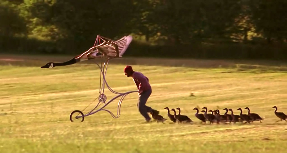 2021父亲节电影推荐——陪伴是最长情的告白620