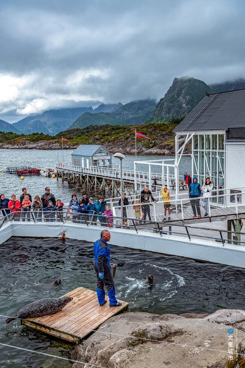 维京遇到全域旅游，美丽乡村、特点小镇一网打尽：挪威渔业史漫步
