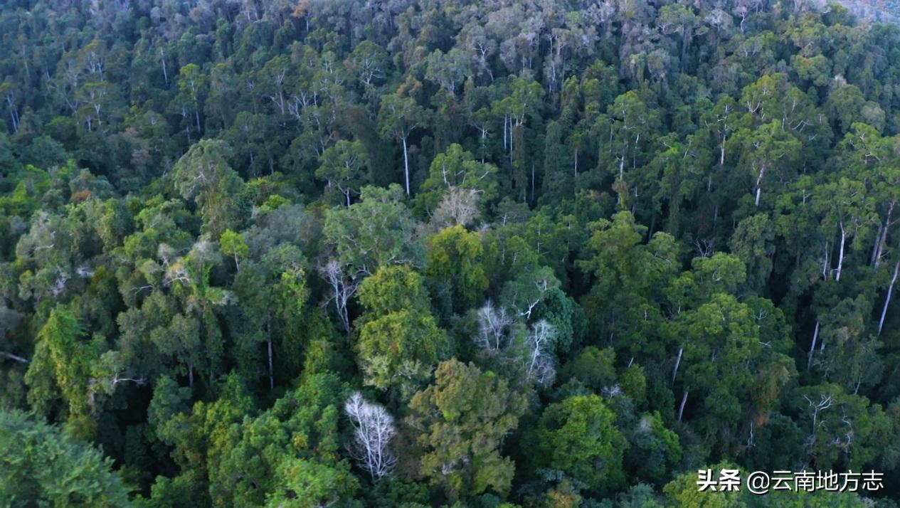 缇庡搲浜戝崡鍏ㄩ儴瑙嗛,缇庡搲浜戝崡鍓х収