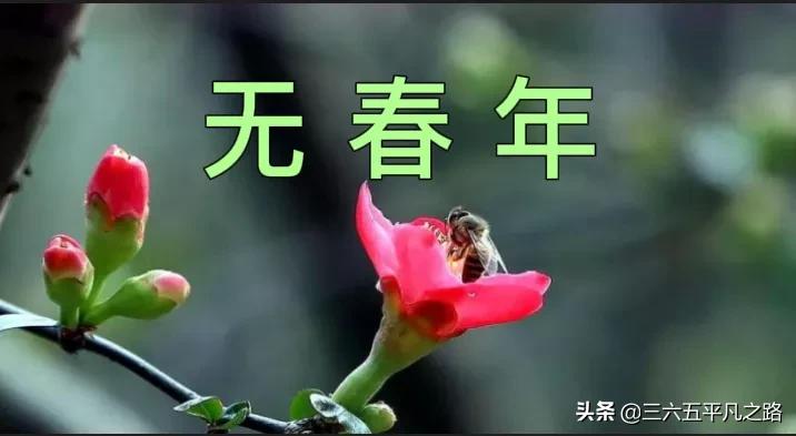 2021年是辛丑寡妇年，俗语“牛遇寡妇，四马驮谷”，啥意思？