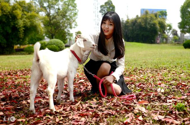 小说：马寡妇一个人住，你晚上路过她家，看见她的衣服被人撕开了