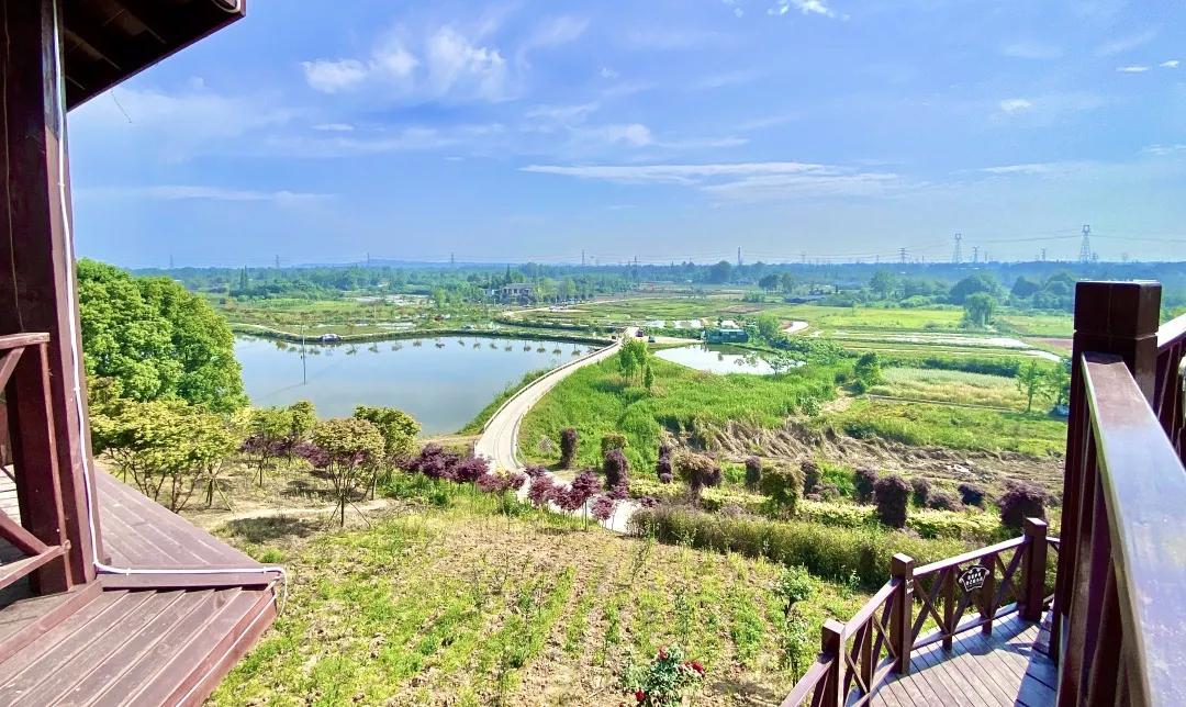 你好，我叫郫都，这是我的最新简历