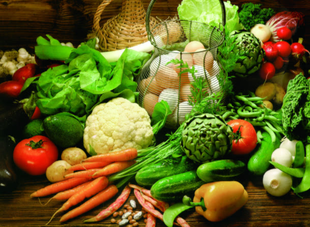 法斗吃什么狗粮最好,法斗吃什么狗粮好经济又实惠