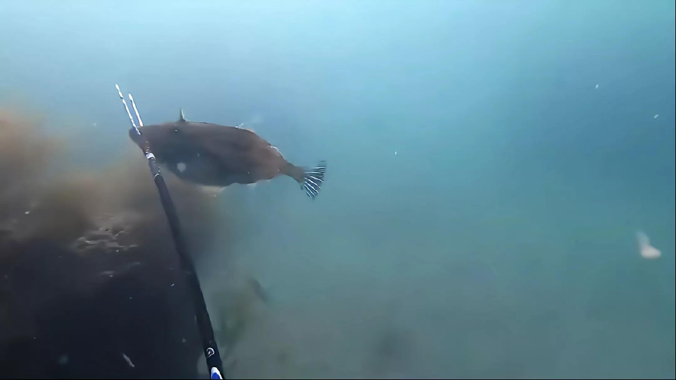 钓不到鱼正确的理解方式,钓不到鱼该怎么说