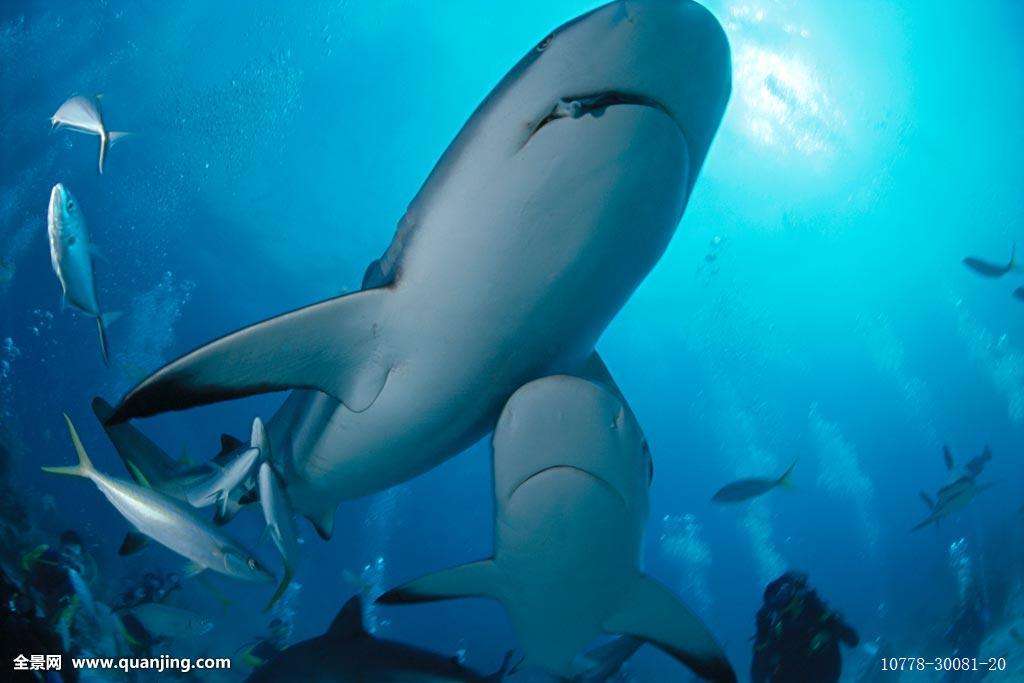 代沟的主要责任在父母还是孩子,如何解决父母和孩子代沟问题