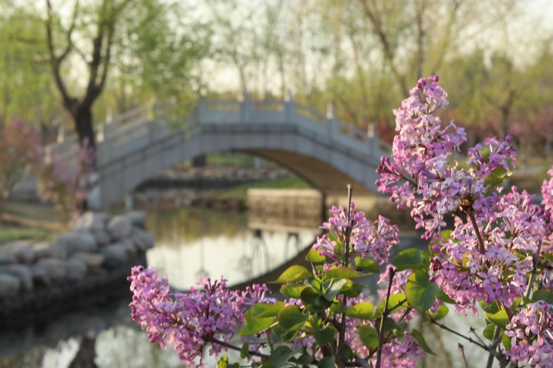 迁安的美景介绍,迁安一年四季美景图