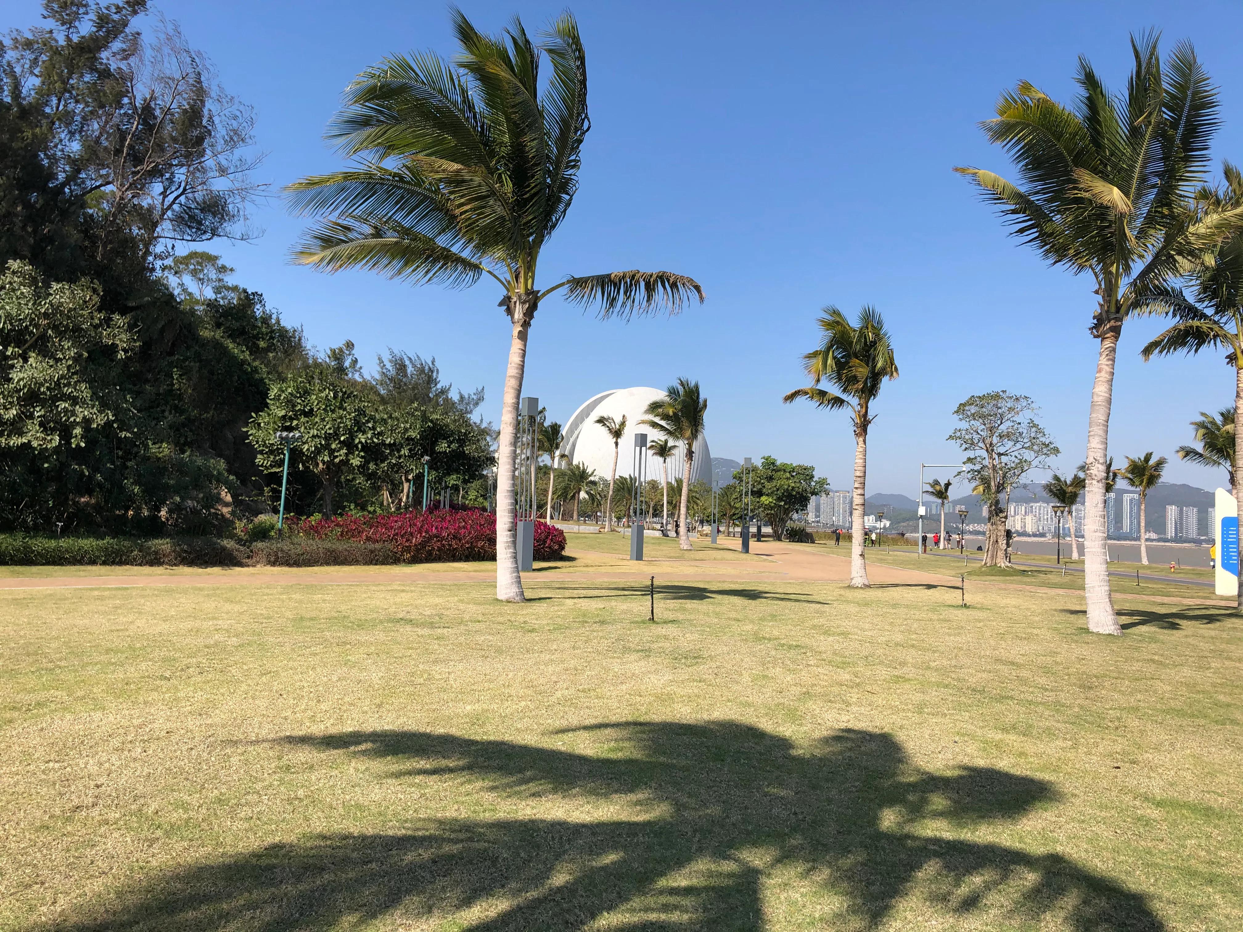 夜游珠海野狸岛风景,春节珠海野狸岛旅游