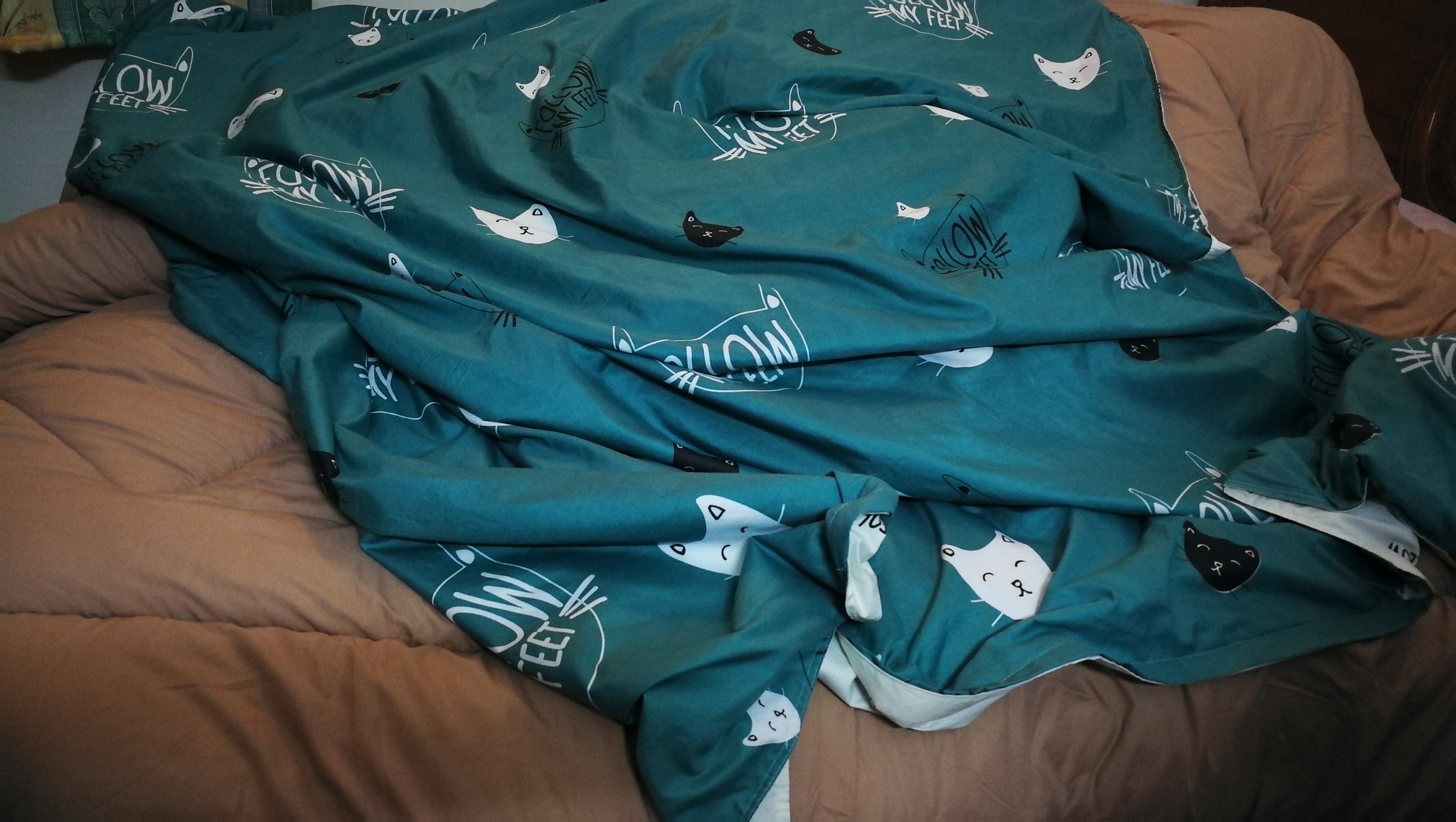 今冬只能自己装棉被了，鸡手鸭脚，还有更难看的吗？