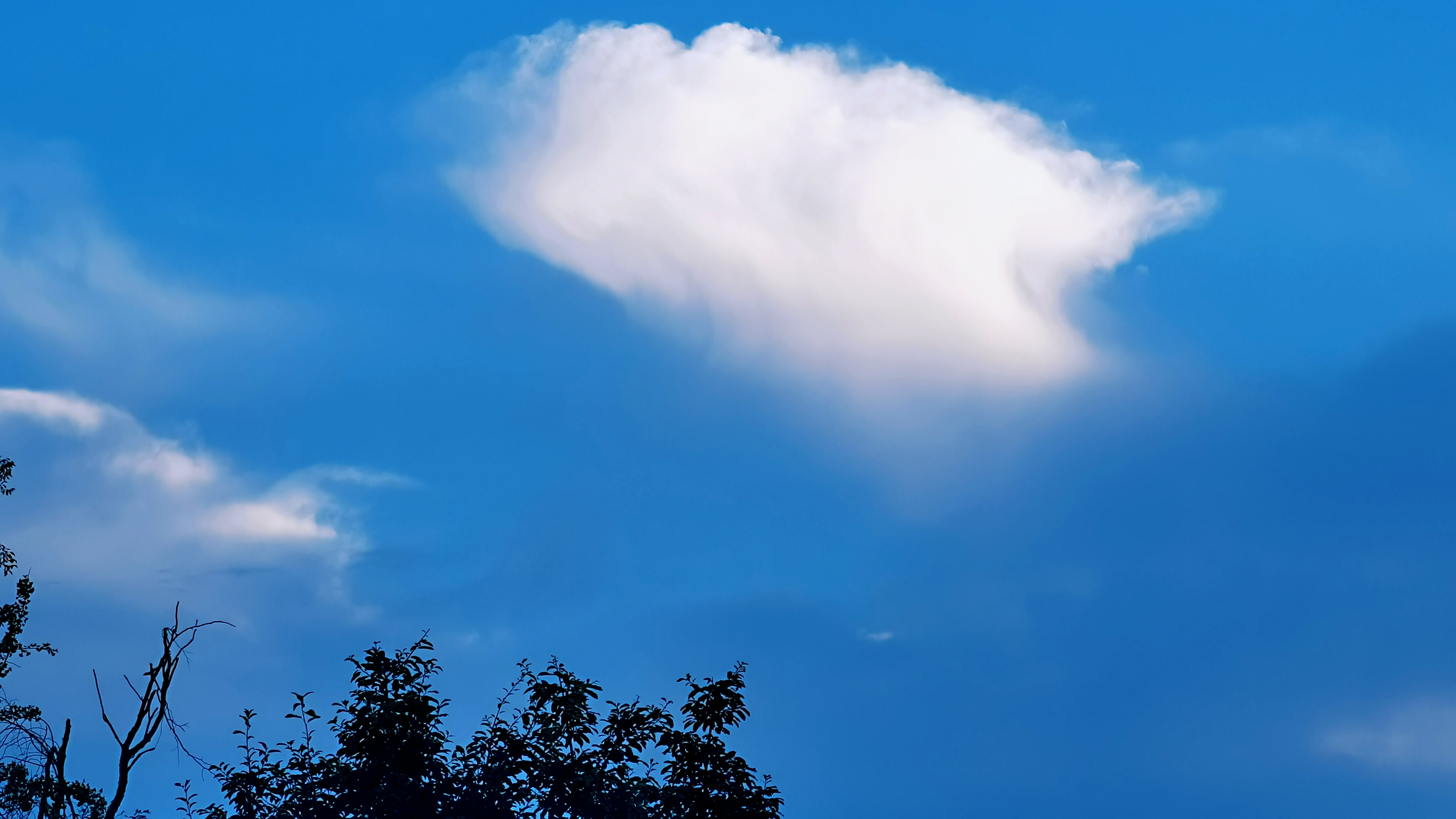 成都的各种风景,成都市内景色好的地方
