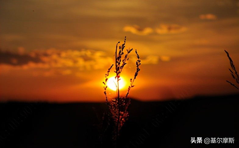 成立3年以上，年化回报超10%，最大回撤低于5%