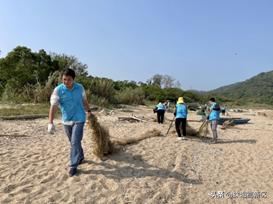 文明实践在高新|淇澳岛海岸线上出现一群蓝色身影…