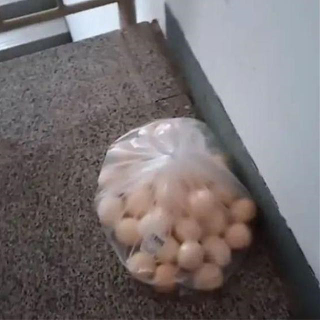 男孩改网络密码被蹭网,男孩改wifi密码被蹭网