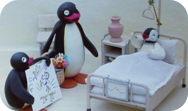 世界上最有诚信的企鹅,世界上最小的企鹅品种