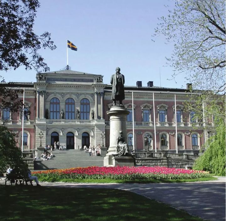 北欧教育学硕士留学,北欧留学教育