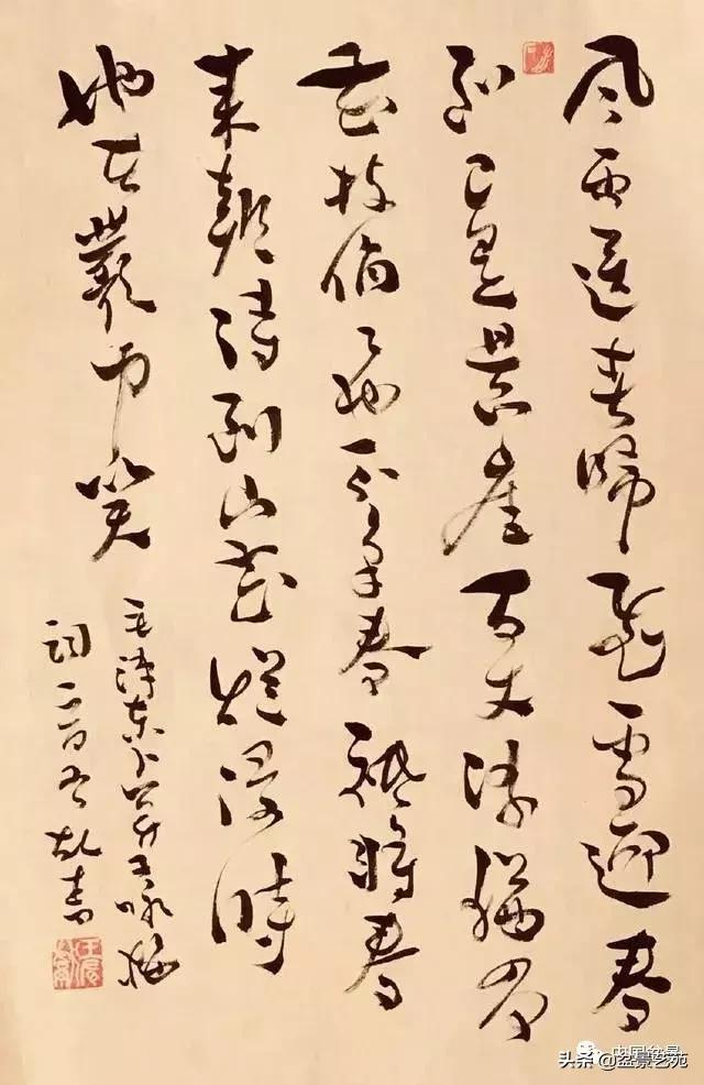 赏梅花十首最好的诗,最经典的梅花十绝