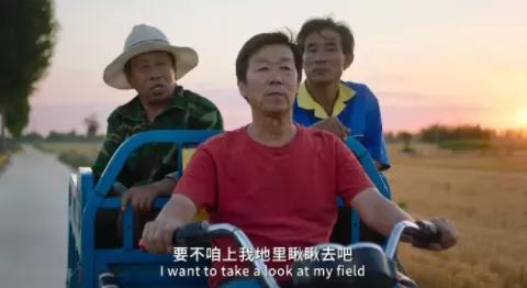 南台控股：年度最狠女主角出现了