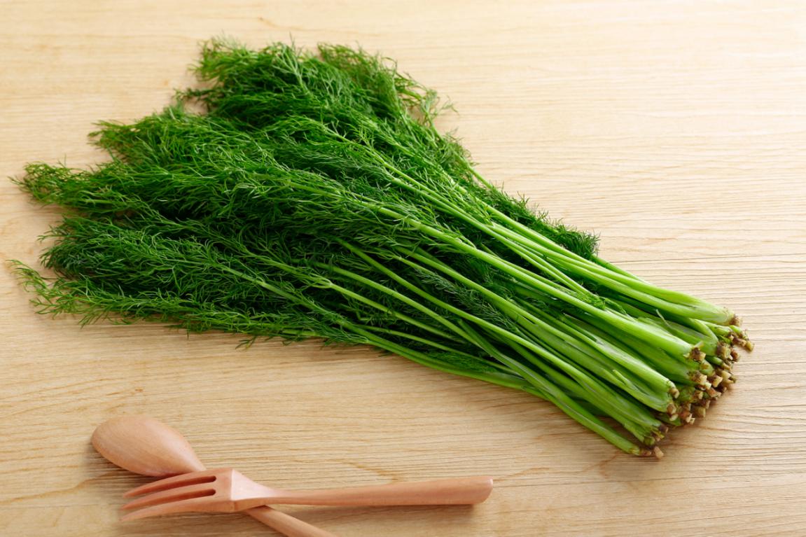 茴香的食用方法茴香的功效与作用,茴香的营养价值和食用禁忌