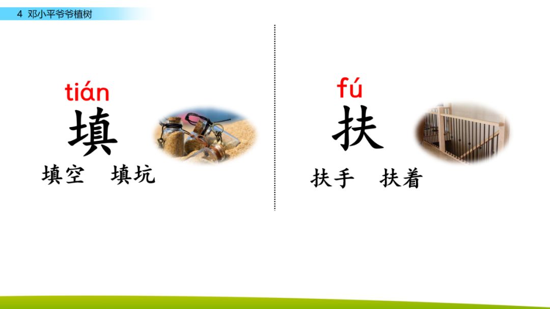 部编版二年级下册语文第4课《*小平邓**爷爷植树》知识点+图文讲解