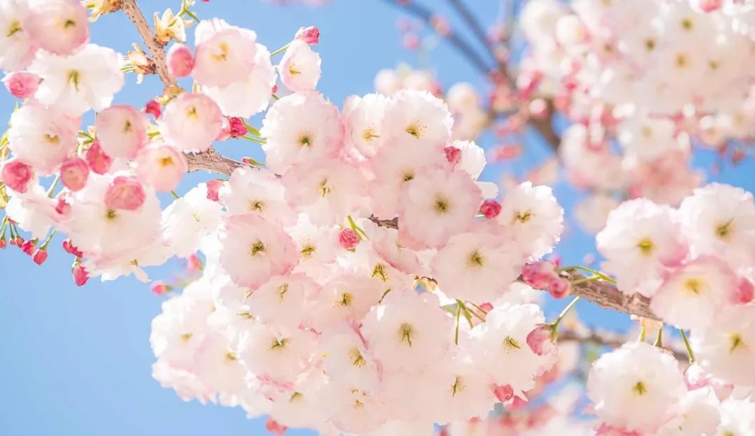 旅游三亚和厦门哪个更值得去,三亚和厦门哪一个更值得去旅游