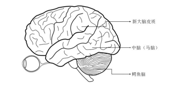 网红直播背后的真相你知道多少,网红直播现象你怎么看