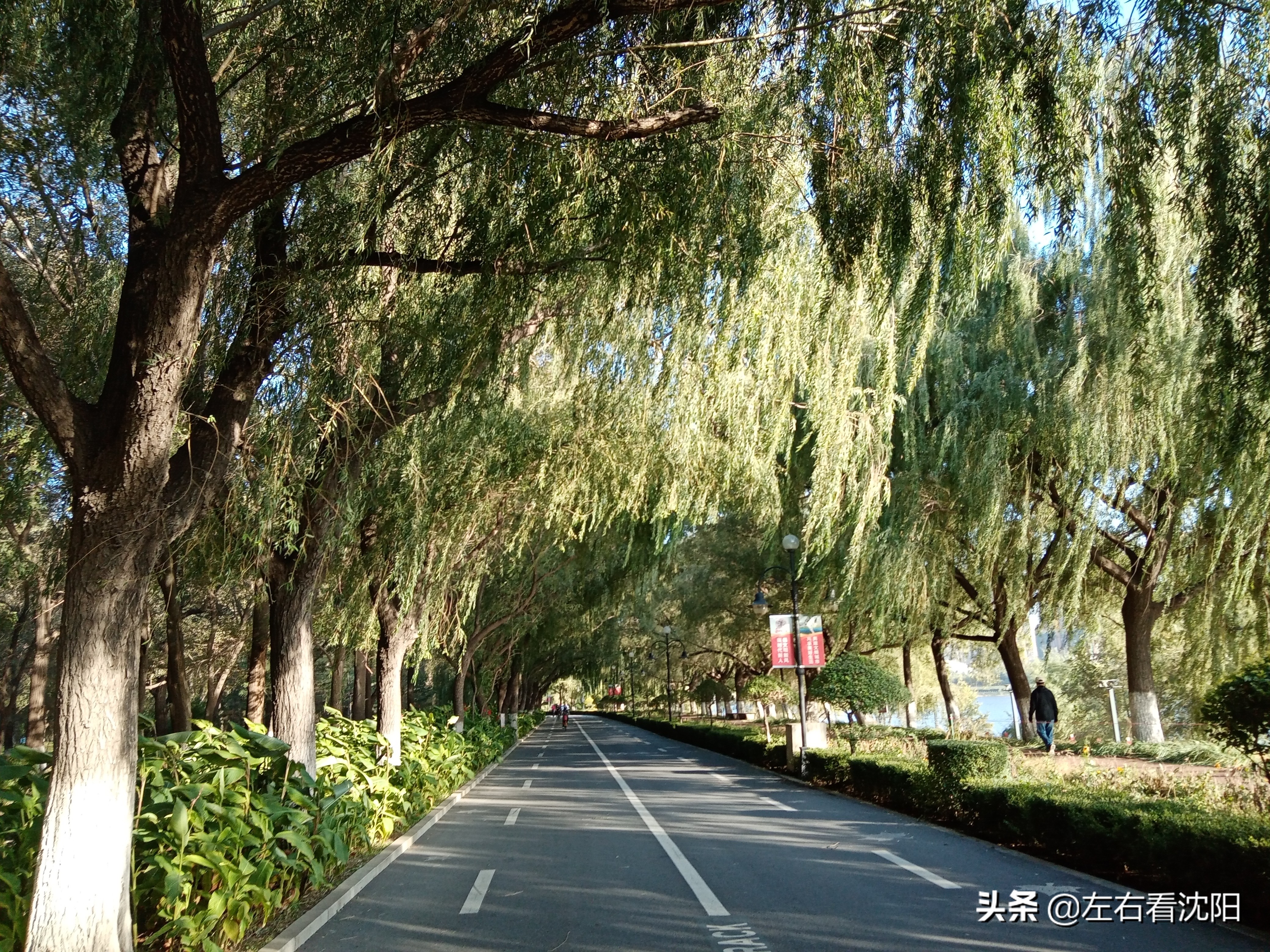 沈阳沈水湾公园看日出,沈阳浑河看海的地方