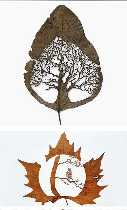 秋天最美的落叶手工,跟秋天有关的树叶手工超级简单